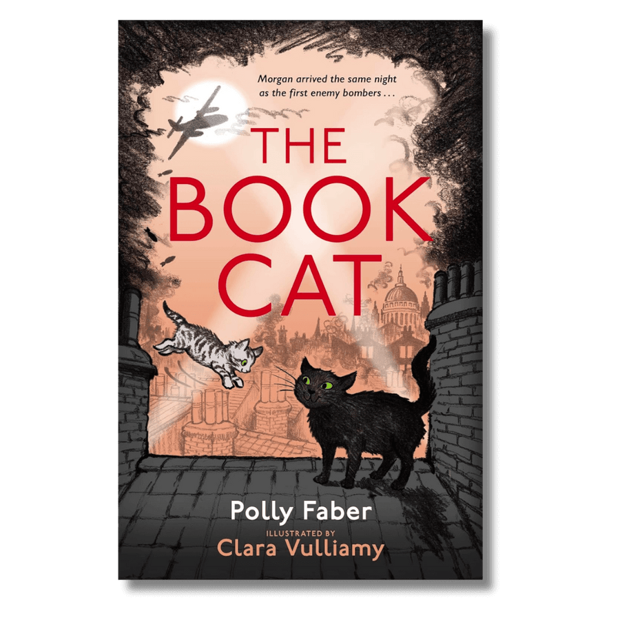 Cover of The Book Cat by Polly Faber