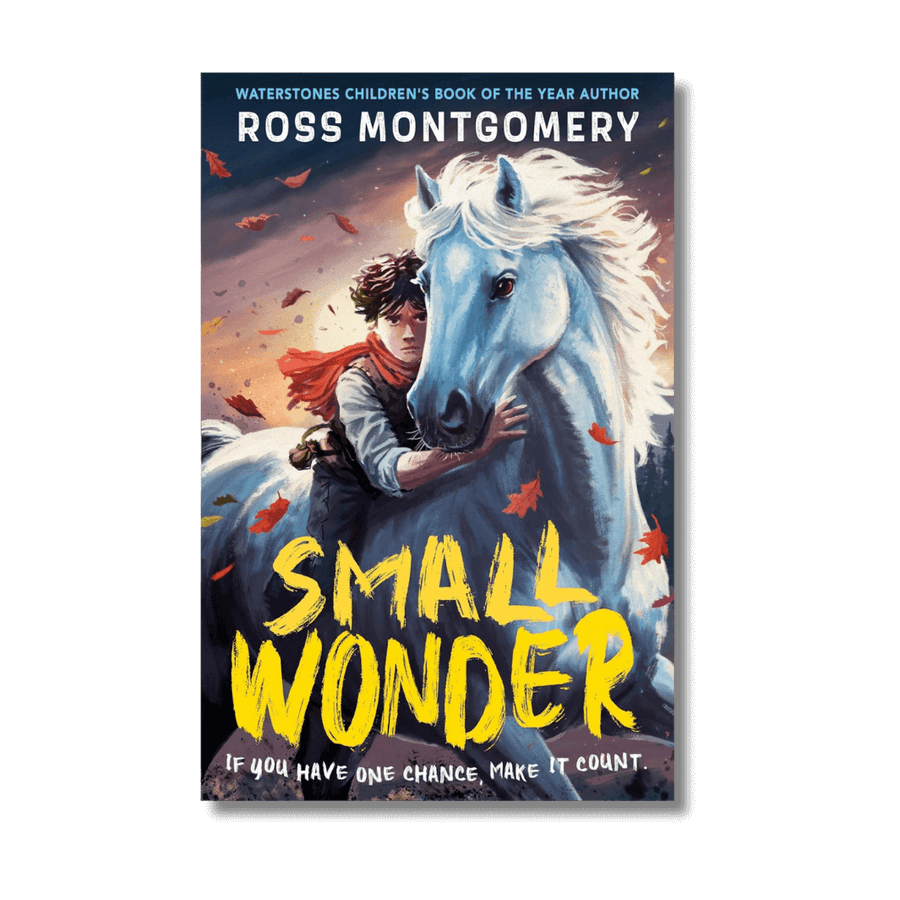Book cover of 'Small Wonder' by Ross Montgomery featuring a person and horse.