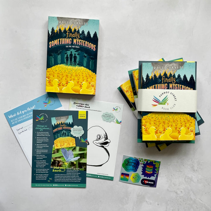 Finally, Something Mysterious chapter book and activity pack