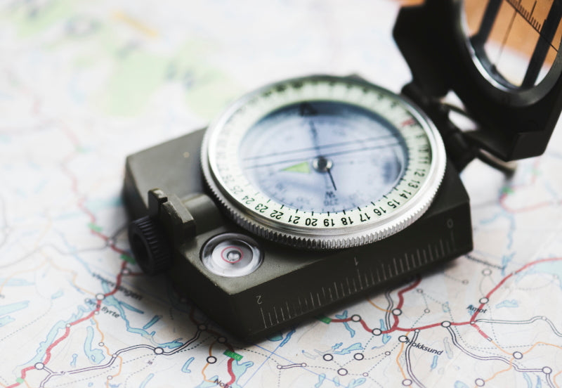 Quick science activity: Make your own compass