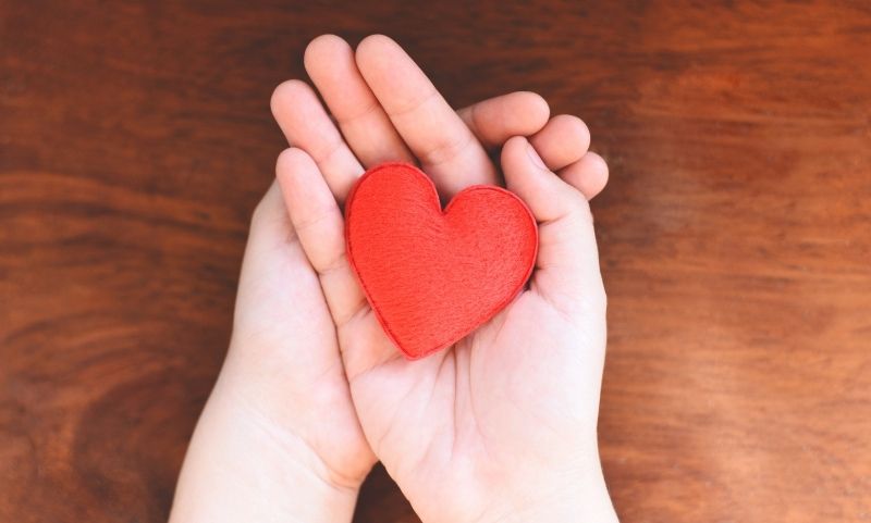 A red heart being held gently in the palm of a cupped hand