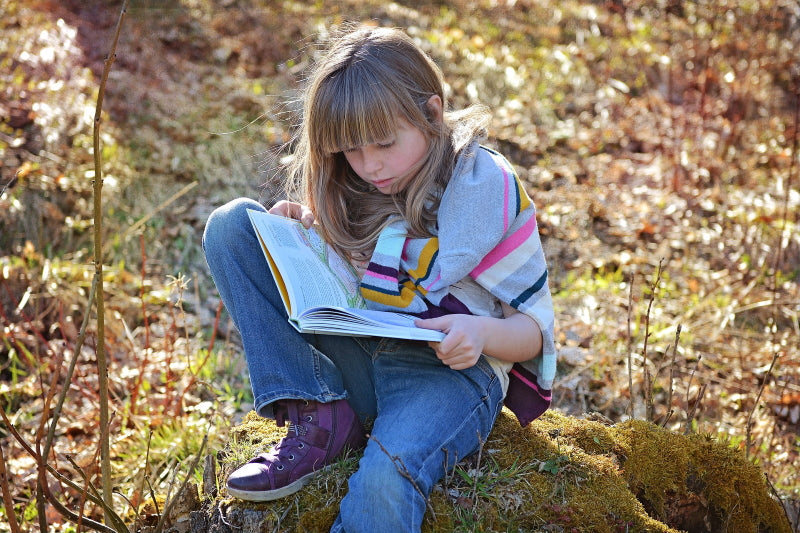 7 series for independent readers aged 9+