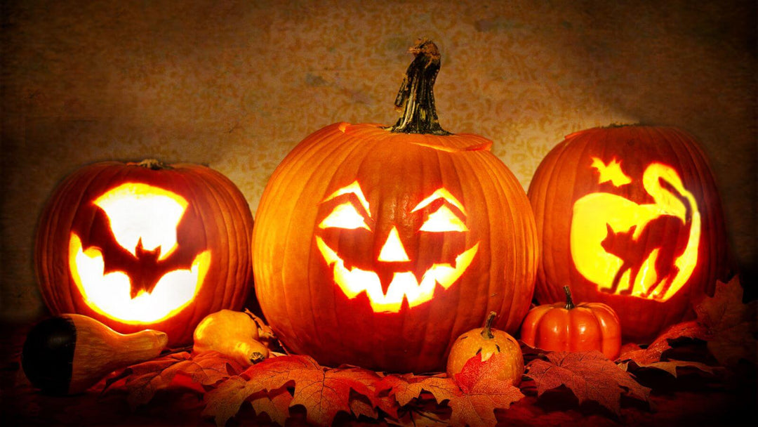 Three illuminated, carved Halloween pumpkins