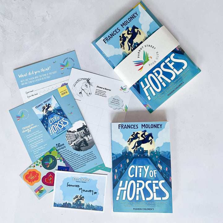 City of Horses chapter book and activity pack