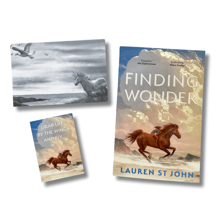 Finding Wonder by Lauren St John with accompanying bookmark and postcard