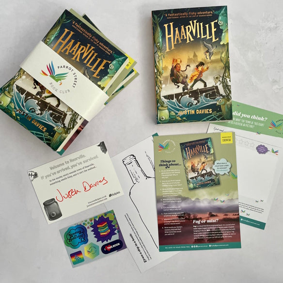 Haarville chapter book and activity pack