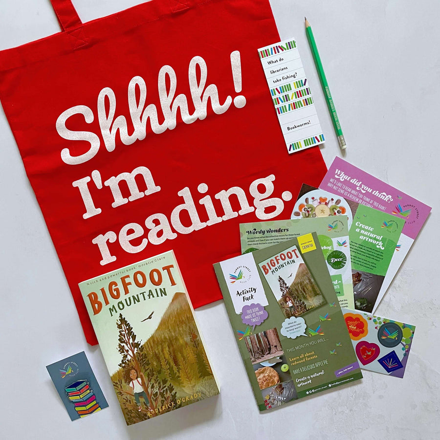 Example book gift set for readers aged 8 to 12 containing a chapter book, activity pack, tote bag, pin badge, pencil and bookmark. 