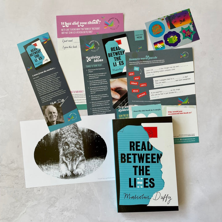 Read Between the Lies book and activity pack